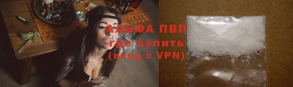 СК Алзамай