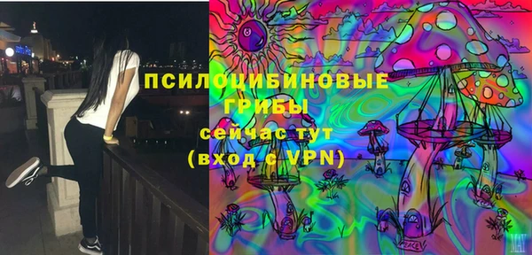 индика Алексеевка