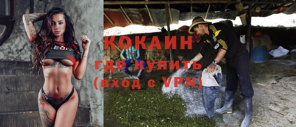 твердый Алексин