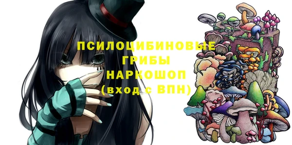 СК Алзамай