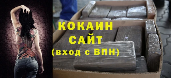 твердый Алексин