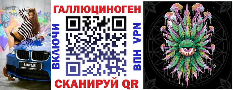 OMG зеркало  как найти   Ахтырский  Псилоцибиновые грибы Psilocybine cubensis 